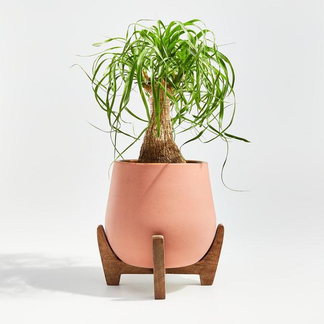 Evie Medium Planter with Stand