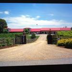 Corey Ippolito Winery Wedding Venue