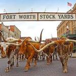 Fort Worth Stockyards