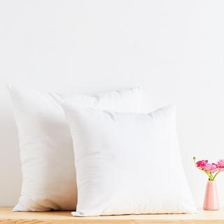 Feather Filled Euro Pillow Insert, Set of 2