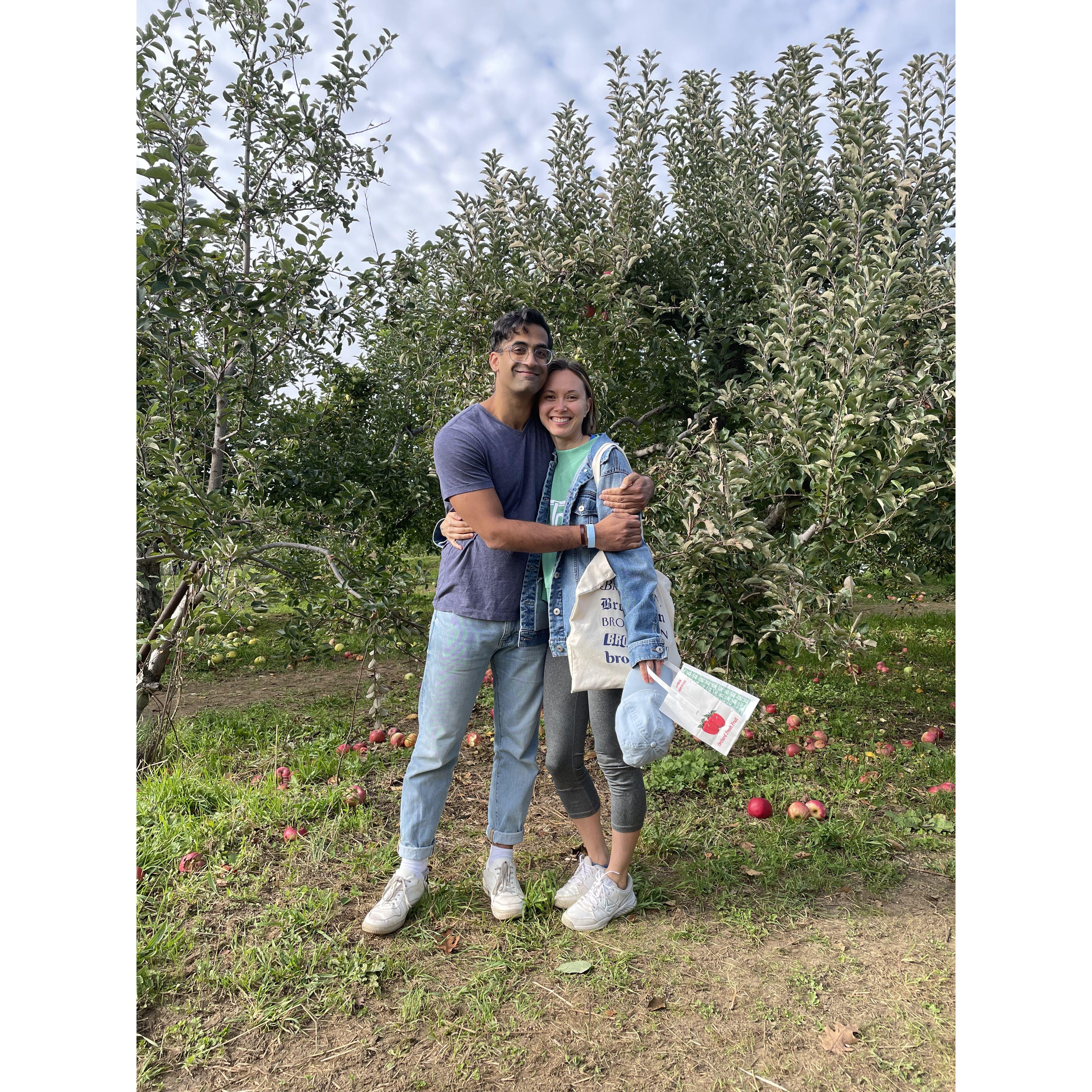 Early days apple picking! Fall 2021