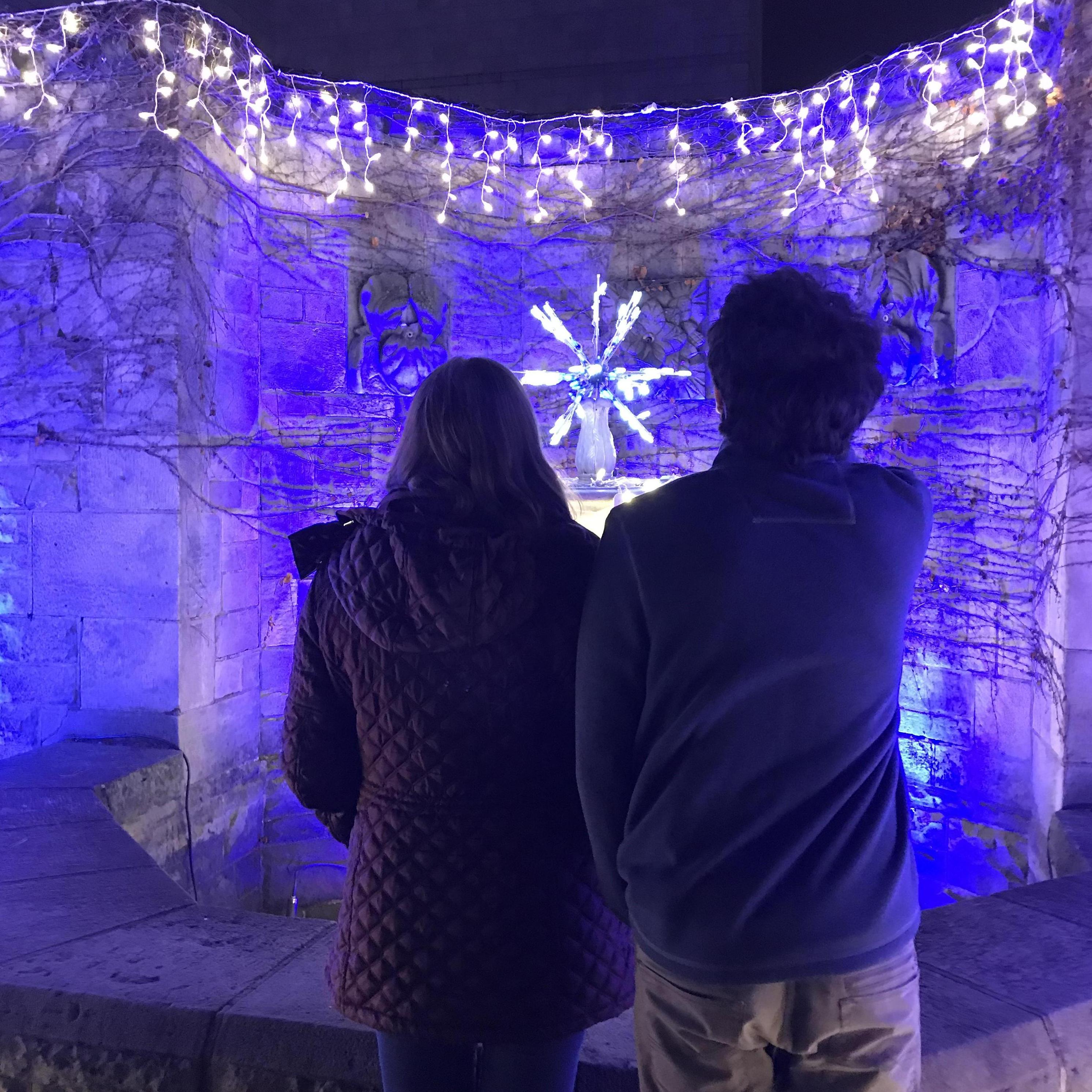 PENNSYLVANIA

Here we are enjoying some arboretum Christmas lights.