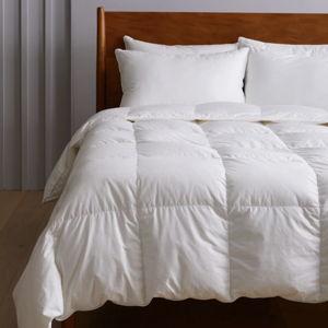 Lightweight Premium Down Alternative Comforter in White