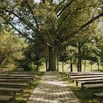 Gore Creek Wedding Venue