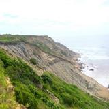 Rodman's Hollow