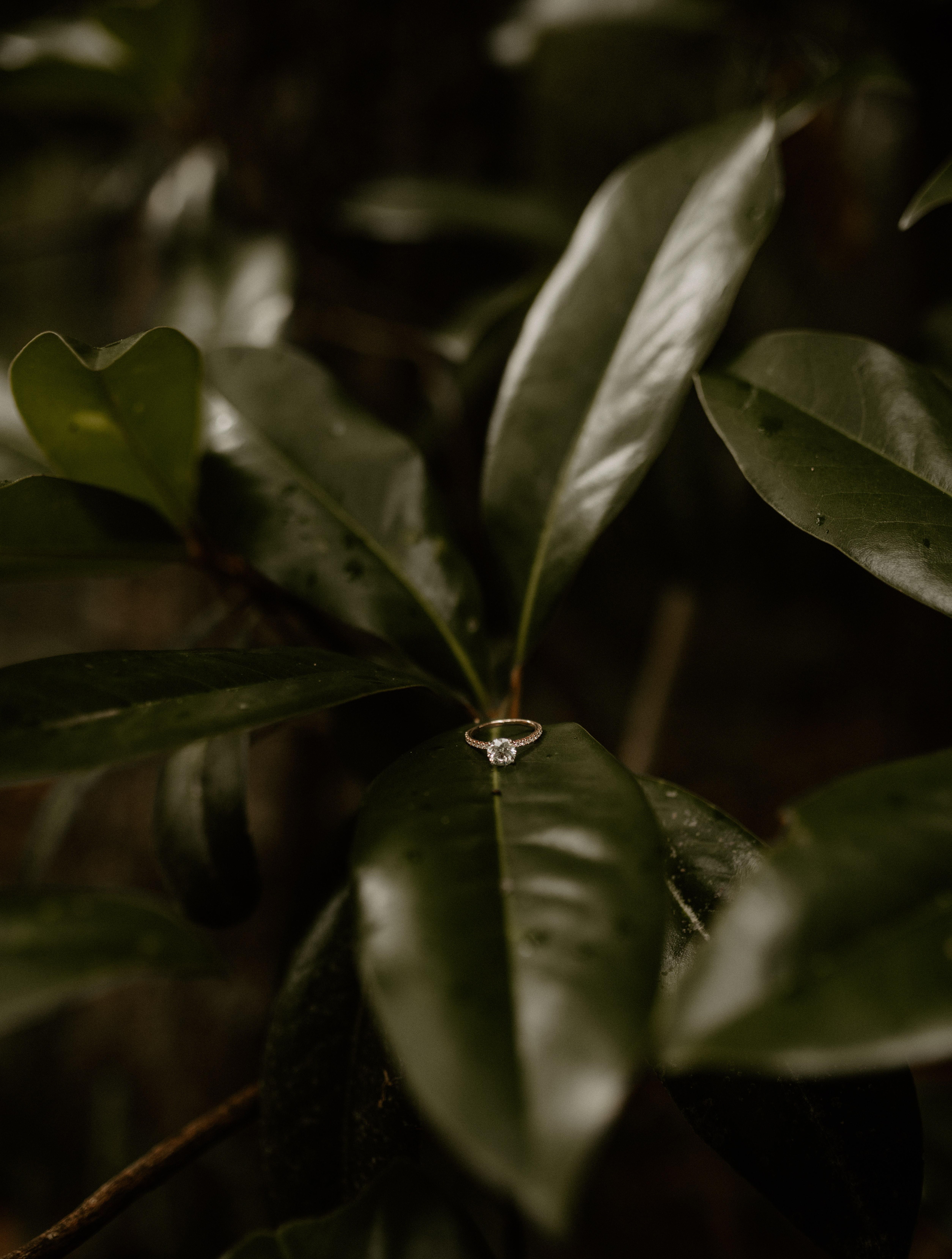The Wedding Website of Samantha Hermes and Adam Edwards