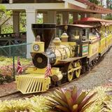 Dole Plantation