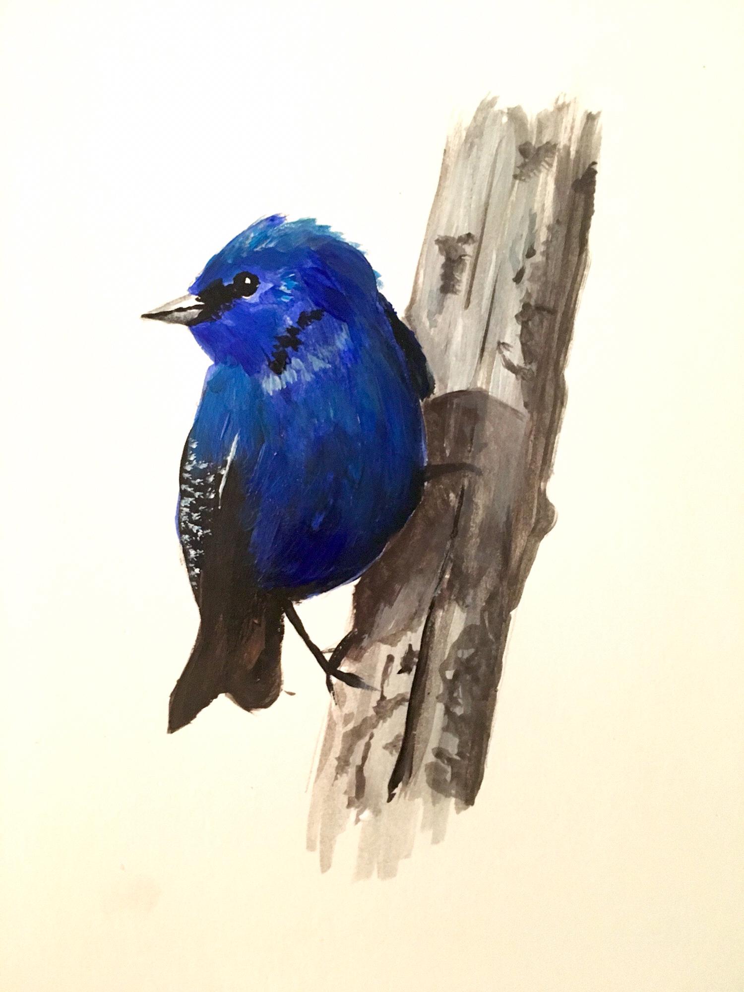 Blue Bird
Acrylic on paper 
8x10
Suggested Price: $60
SOLD