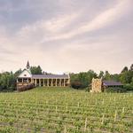 Michael Angelo's Winery