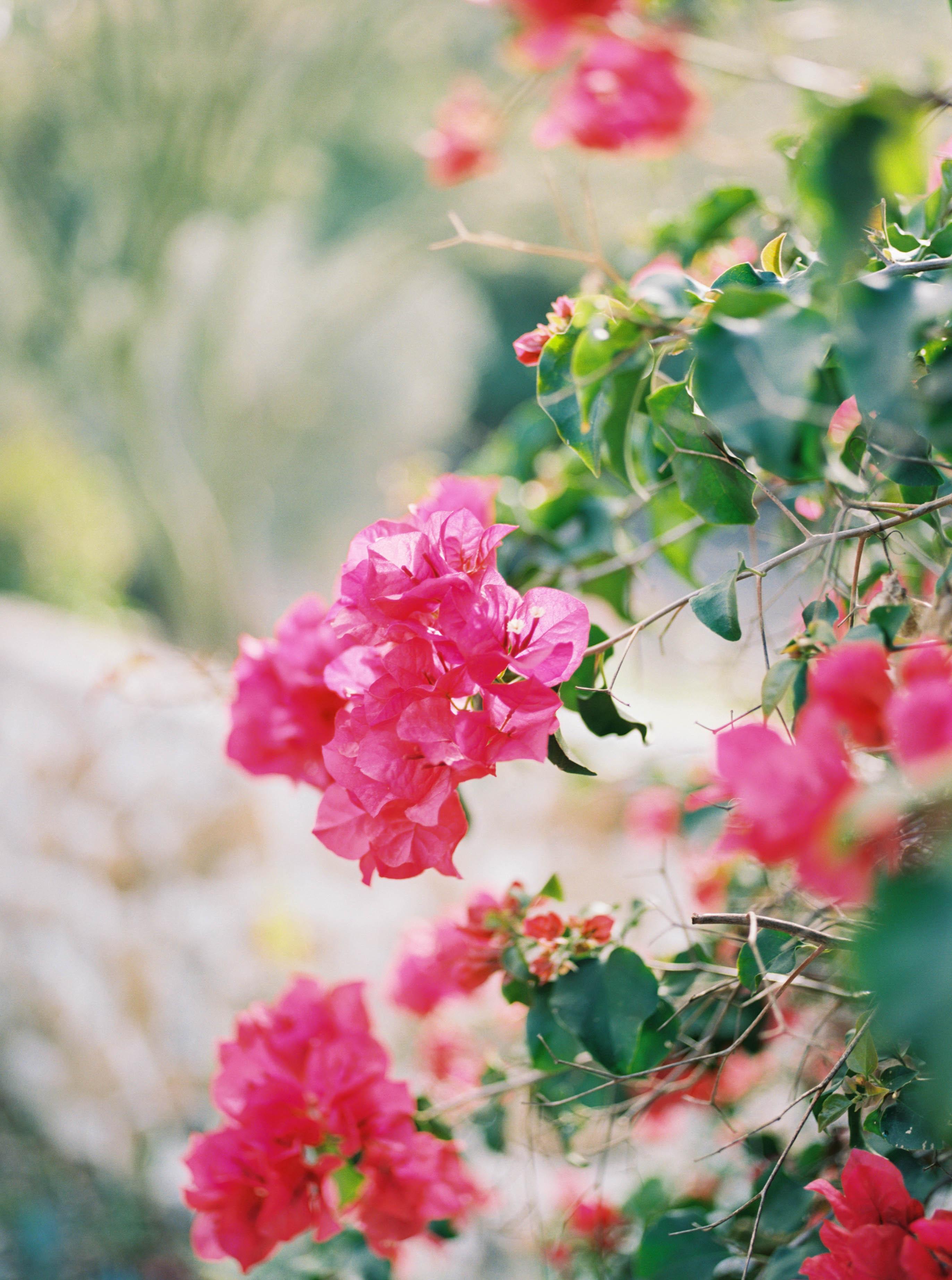 The Wedding Website of Ashley Carter and Gabriel Foard