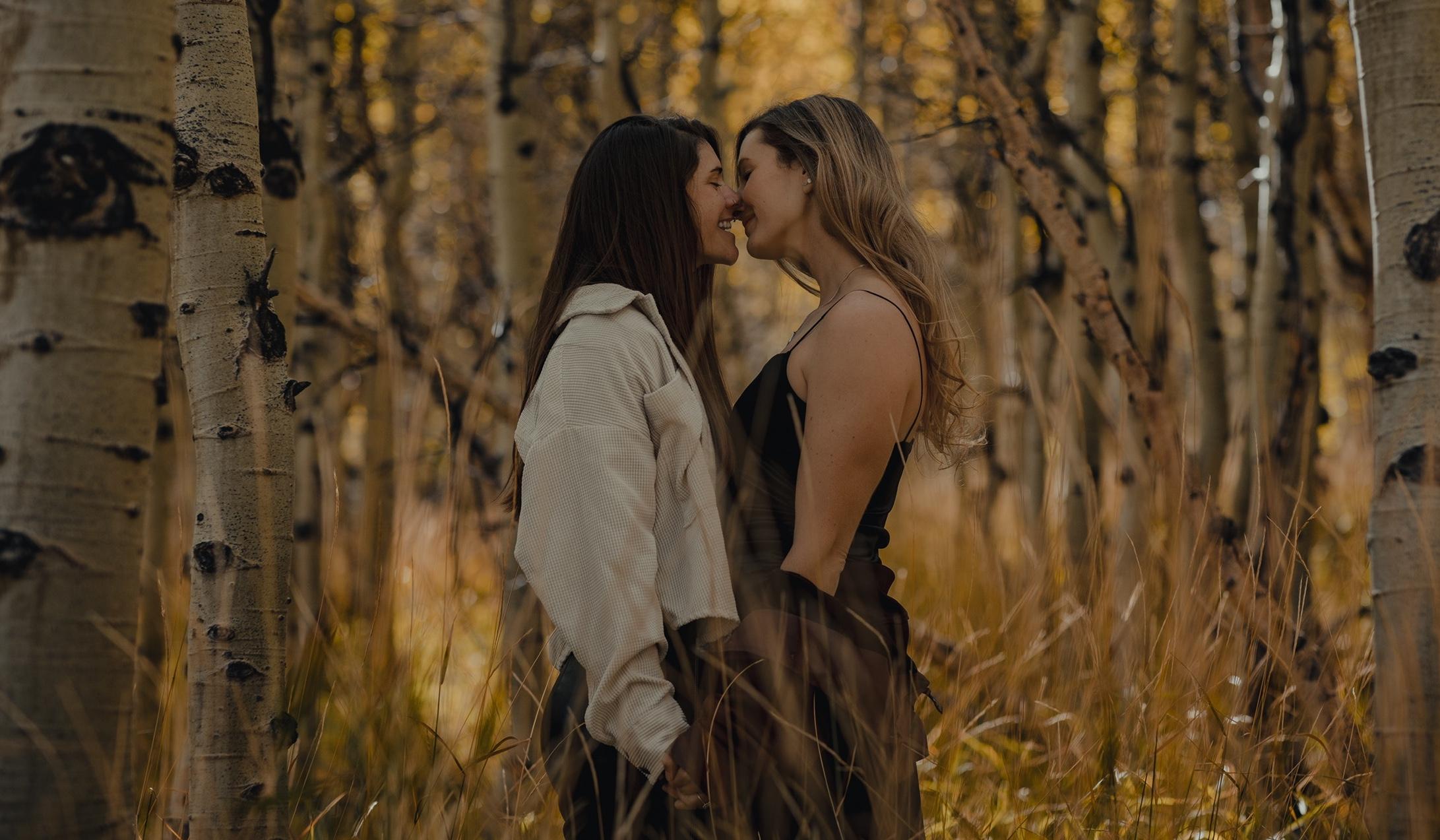 The Wedding Website of Nicole Hayes and Tiffany Boisvert