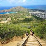 Koko Crater Stairs (Summit)