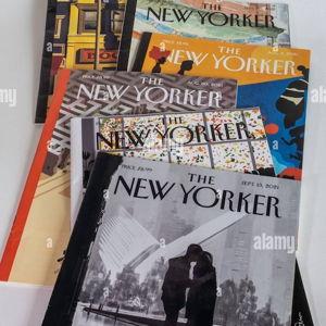 One Year Subscription to The New Yorker