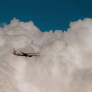 Round-Trip Honeymoon Airfare