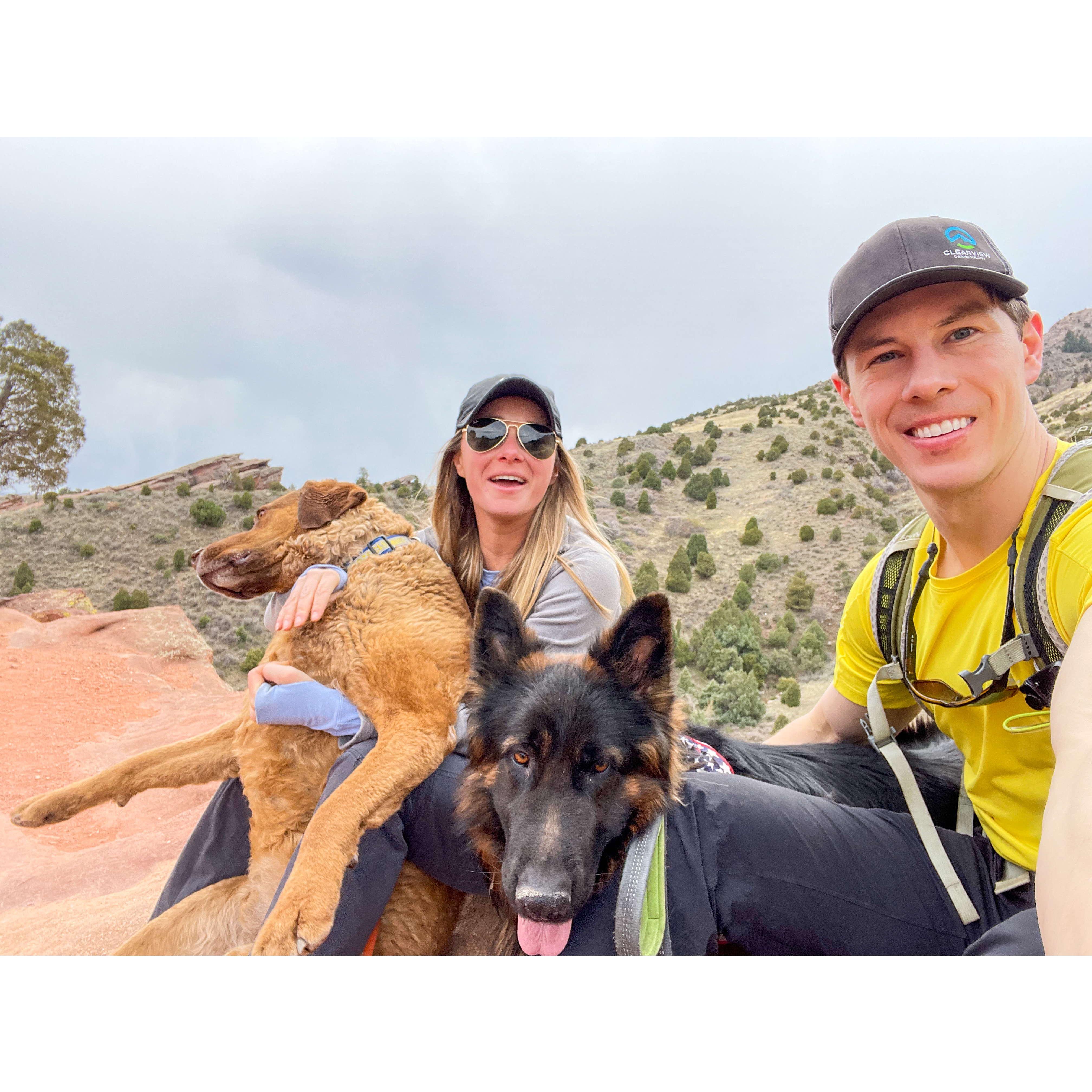 Trying to wrangle the dogs for a photo