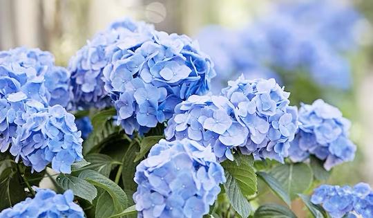 fe70b5be-7c0e-4b9a-bd9a-674a970e30d6