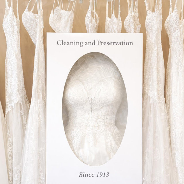 Wedding Dress Preservation