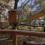 Tree Adventure