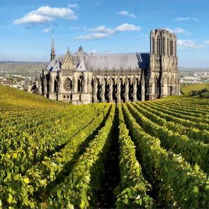 All day Champagne Tour in Reims