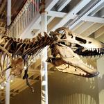 National Museum of Scotland