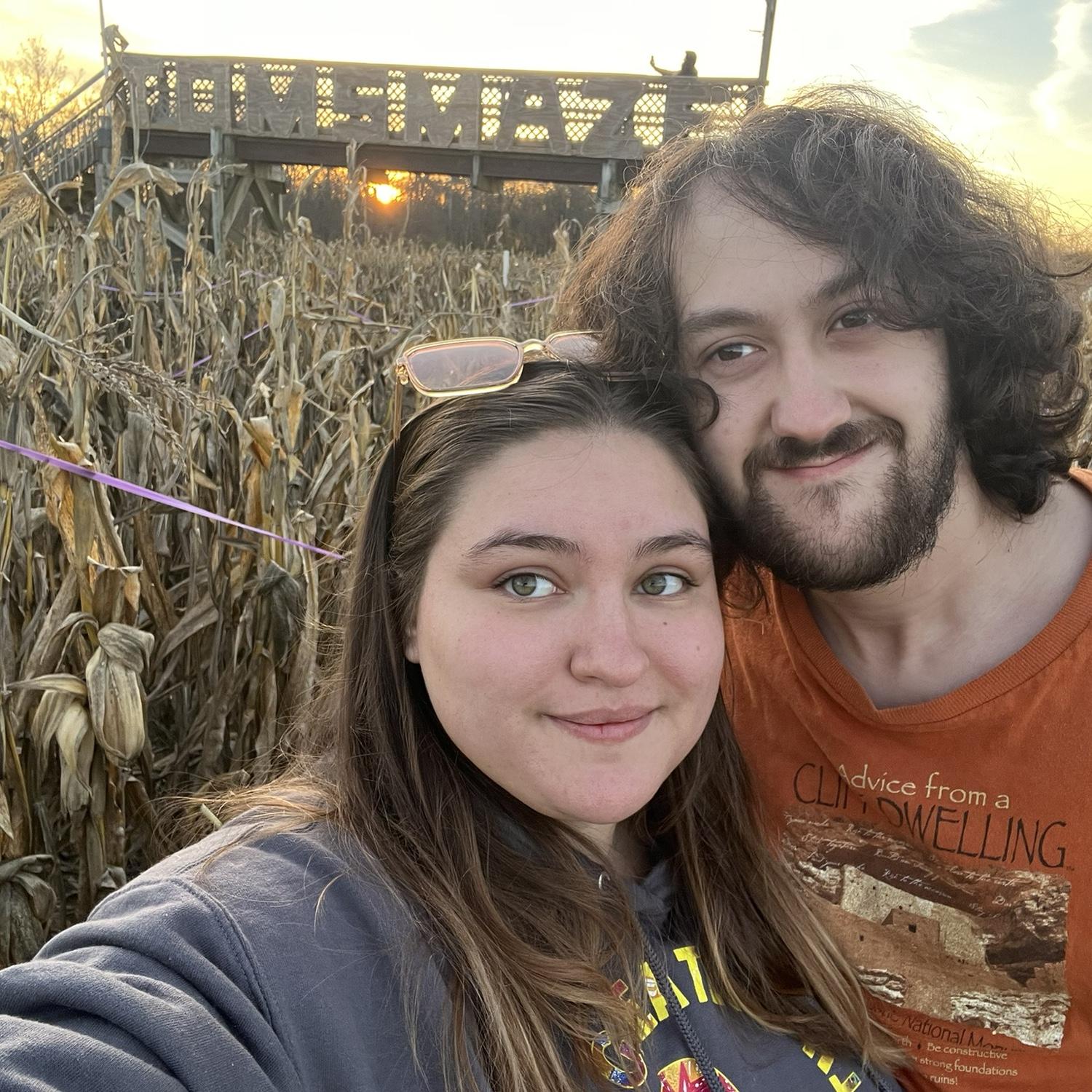 Tom's Corn maze 2024