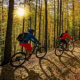 Mountain Biking Trails