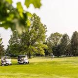 Black Squirrel Golf Club