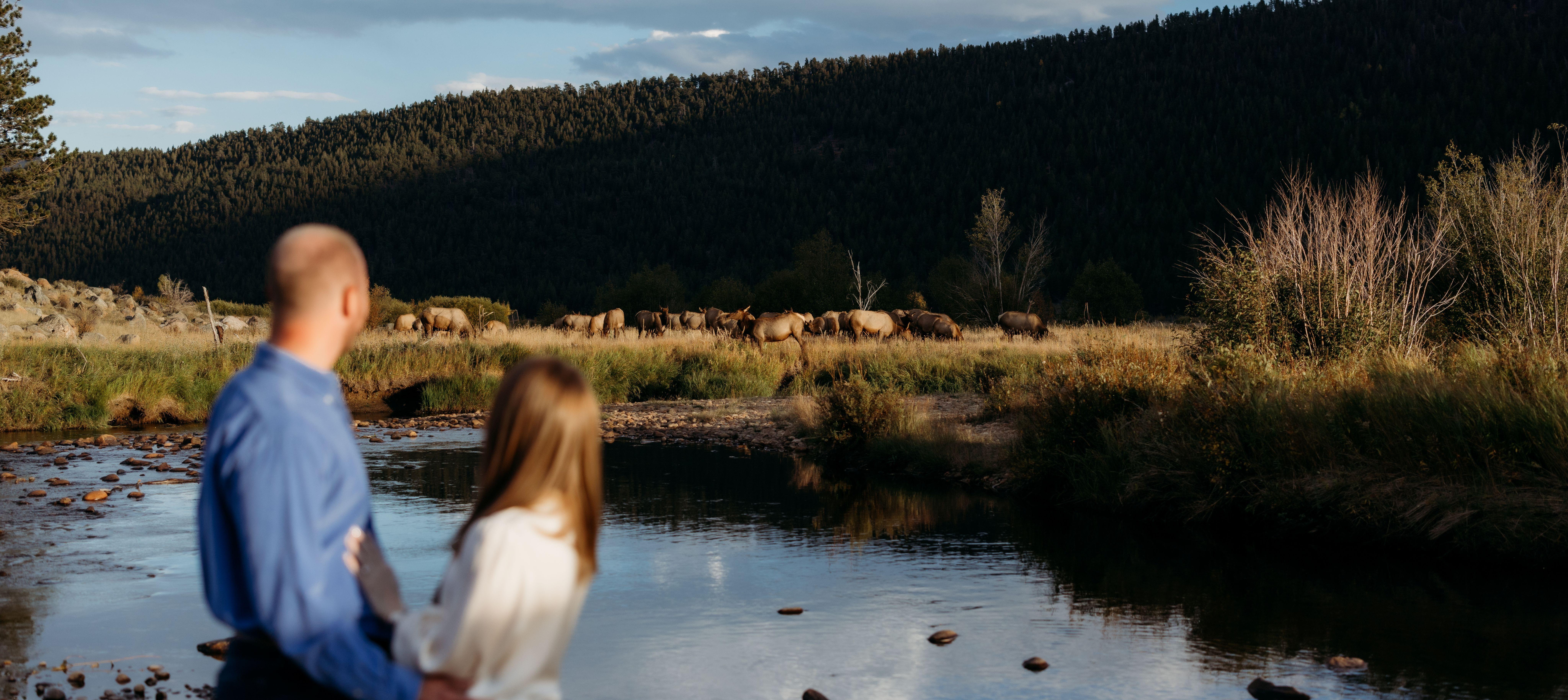 The Wedding Website of Ripley Wren and Cameron Krese