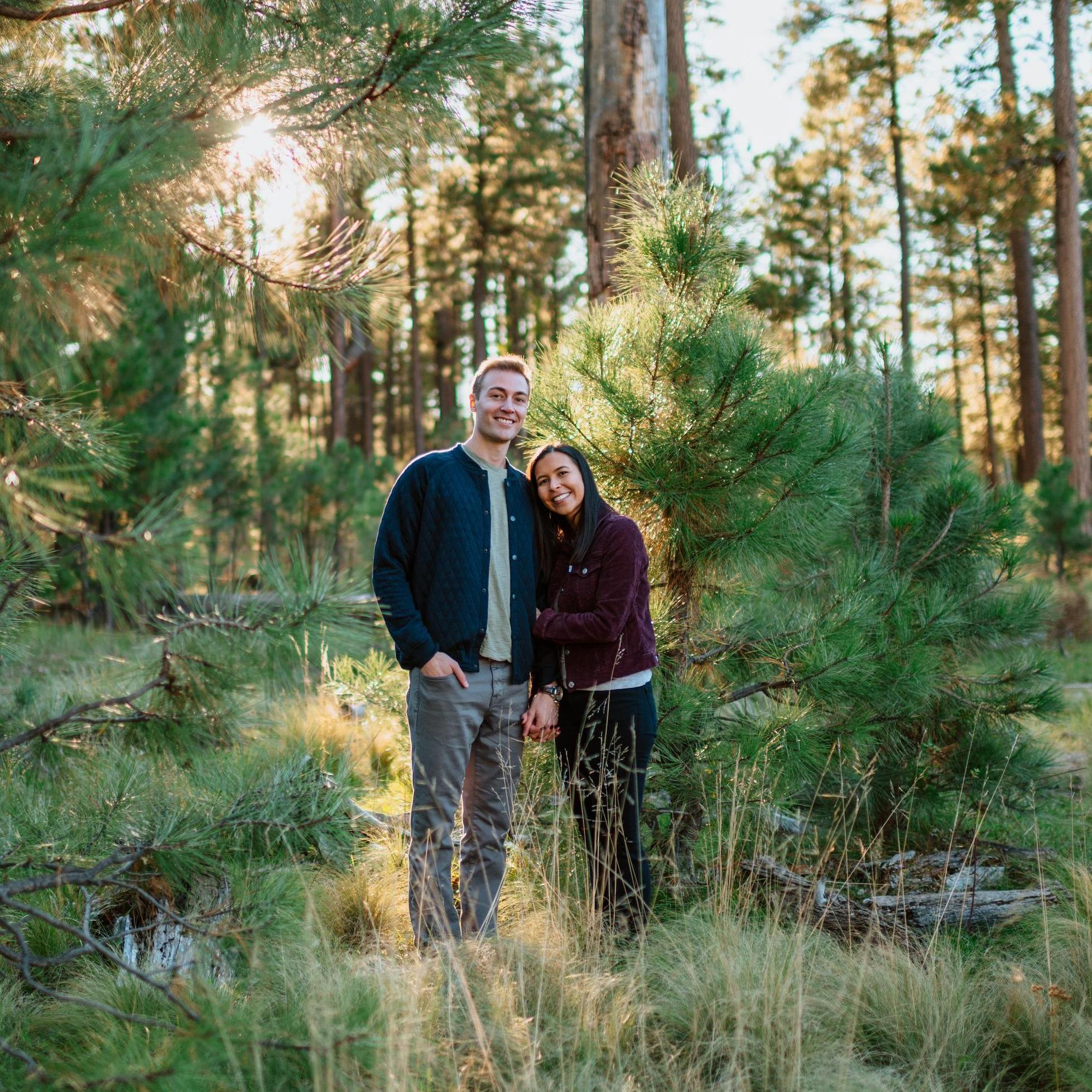 Contrary to popular belief, there are forests in Arizona