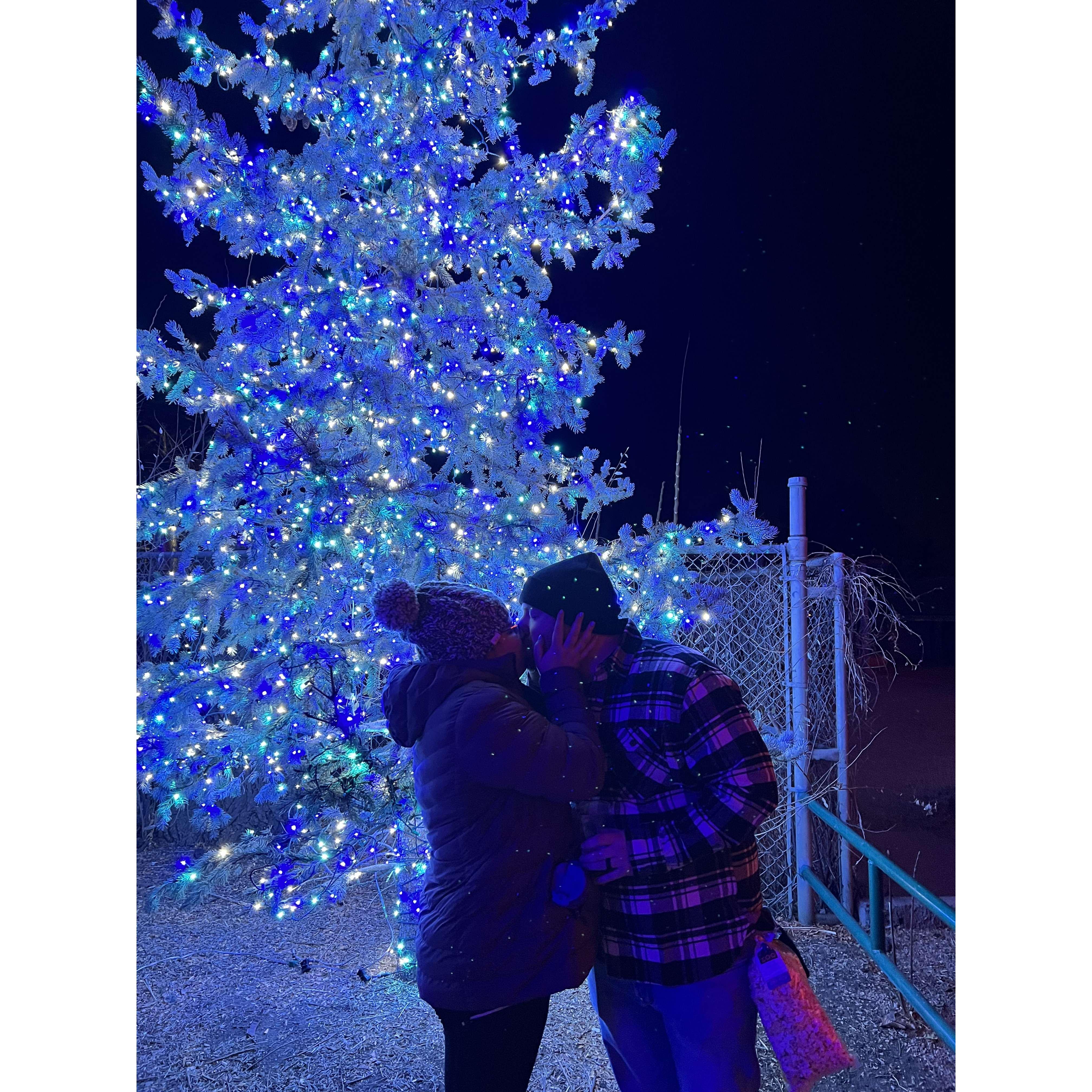 Zoo lights (Dec. 2021)