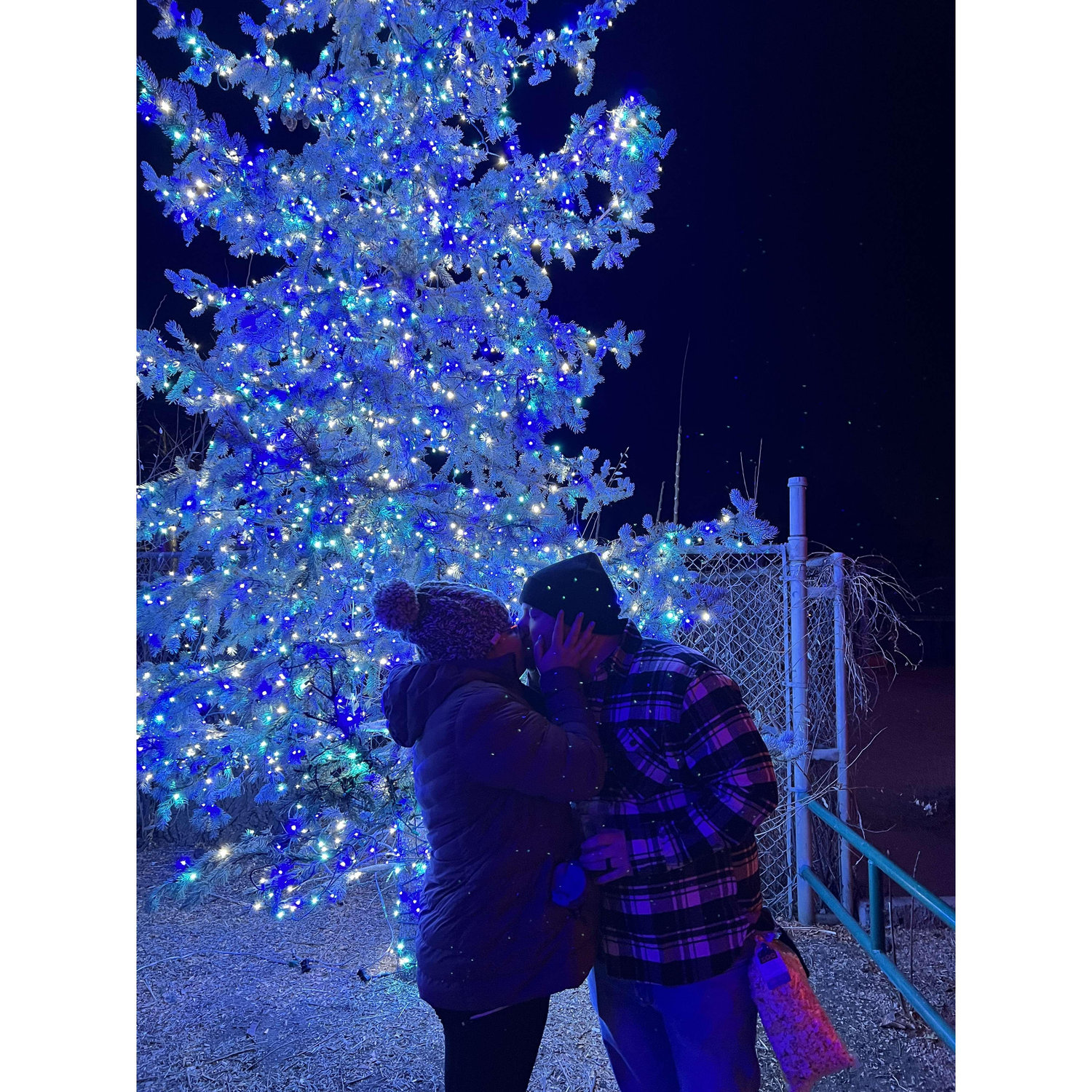 Zoo lights (Dec. 2021)