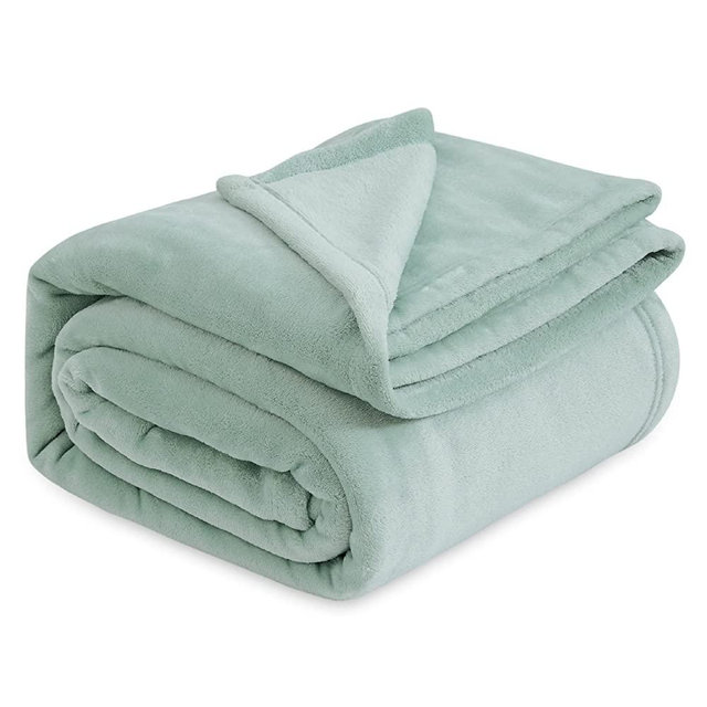 BEDSURE Sage Green Fleece Blanket Queen Blanket Jadeite - 280GSM Soft Lightweight Plush Cozy Blankets for Bed, Sofa, Couch, Travel, Camping