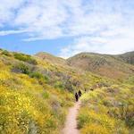Point Mugu State Park