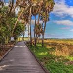 Myakka River State Park