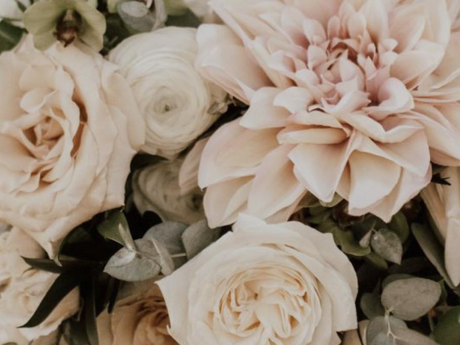 The Wedding Website of Alyssa Perez and Henry Groh