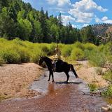 Big Country Equestrian Adventures