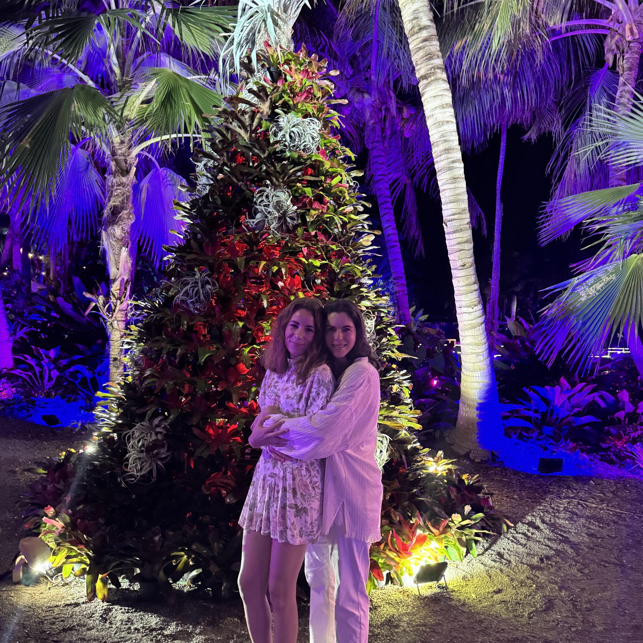 Christmas in Naples, FL (2024)