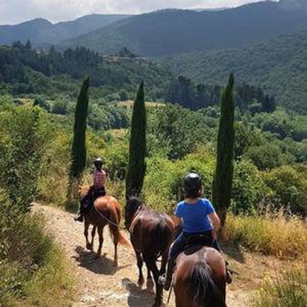 Horseback Ride in S.Gimignano with Tuscan Lunch and Chianti Tasting - Tuscany