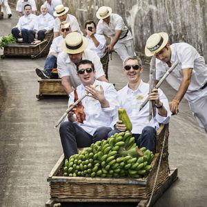 Wicker Tabagon Ride - Madeira
