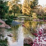 The Japanese Friendship Garden of Phoenix