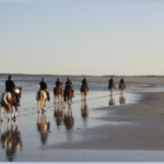 Horseback Riding on the Beach