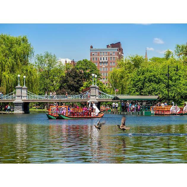 Boston Public Garden