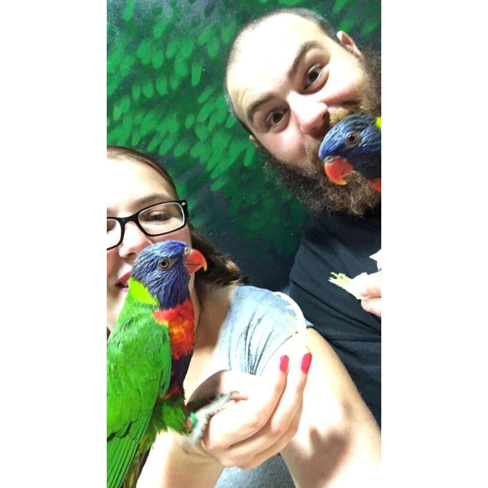 Curtis took me to the aquarium where these little birds kept licking our foreheads.