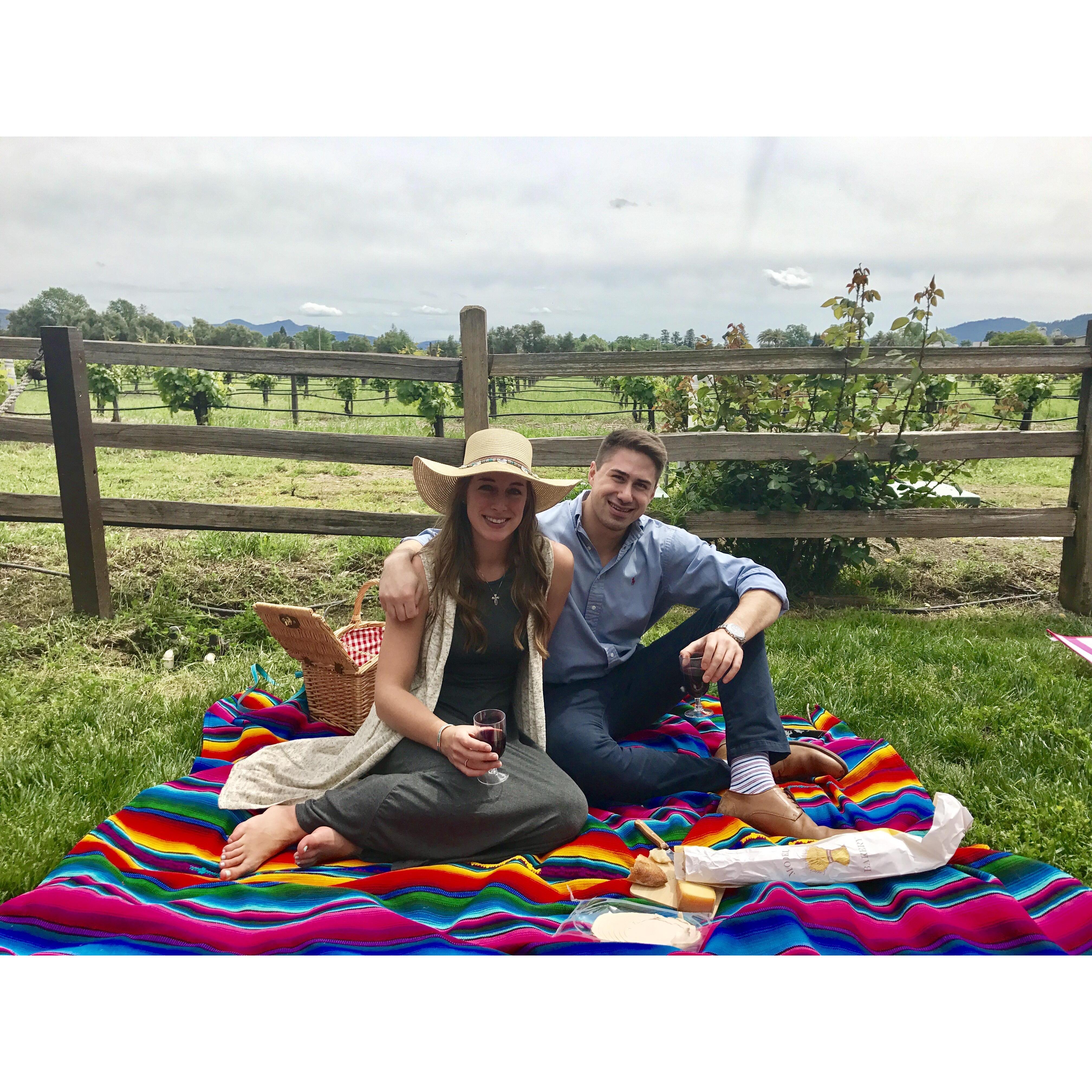 Picnic in Napa Valley