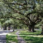 Audubon Park