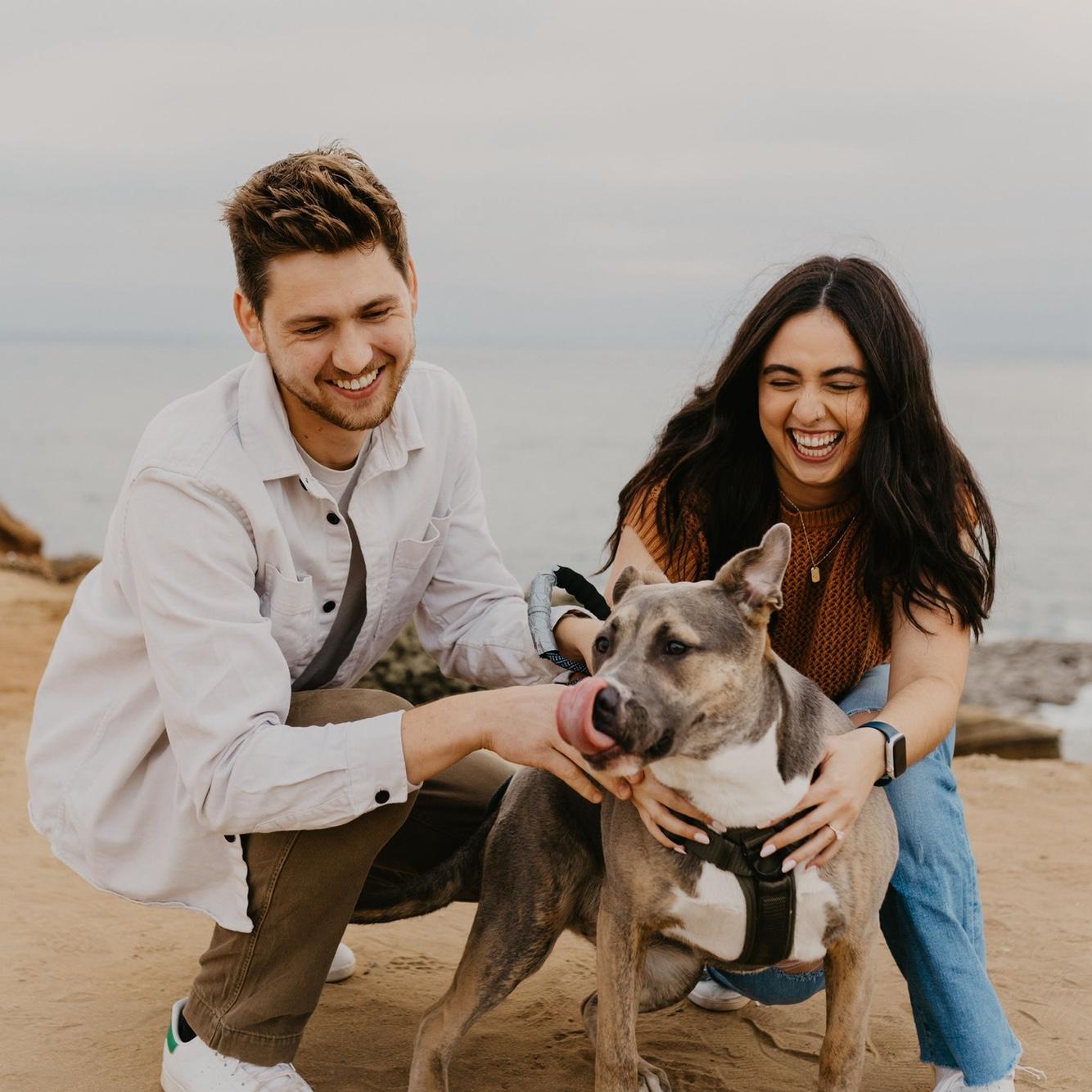 Remy probably trying to hunt a squirrel