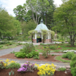 Grandmothers' Garden