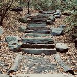 Avalon Nature Preserve