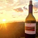 Darcie Kent Vineyards