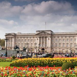 Buckingham Palace Tour